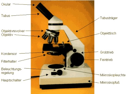 Zusammengesetzte Mikroskop Teile und ihre Funktionen